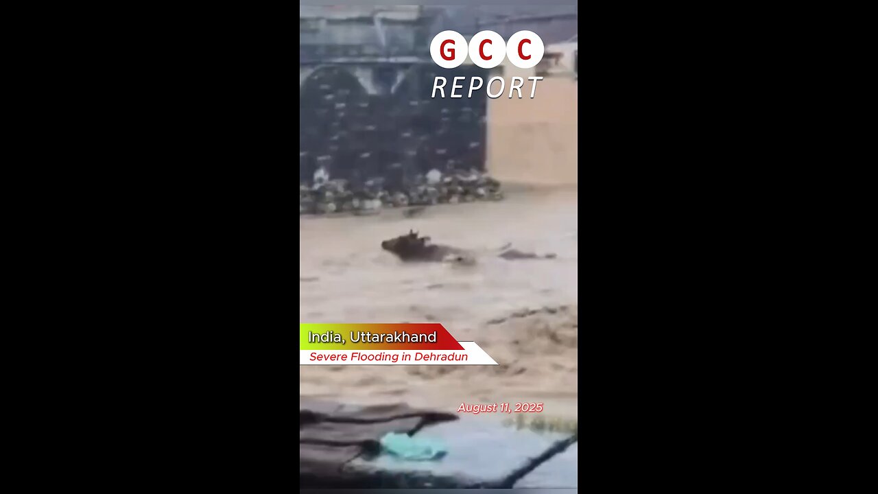 #India #Flood #destruction #anomaly #weather #climatechange 🇮🇳