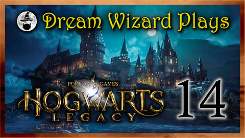 DWP 755 ~ Hogwarts Legacy (2023) ~ #14