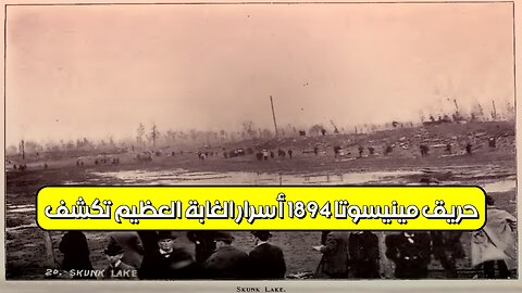 حريق مينيسوتا 1894: أسرار "الغابة العظيم" تكشف #تاريخ_أمريكا #حرائق_الغابات #مينيسوتا