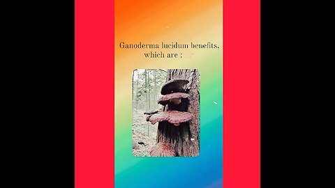 Principal Health Advantages of Ganoderma Lucidum
