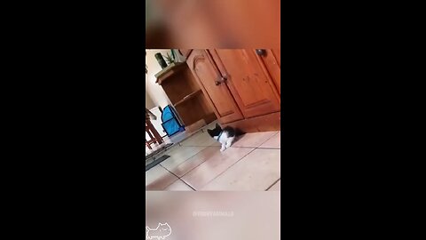 Oh, you scared me!