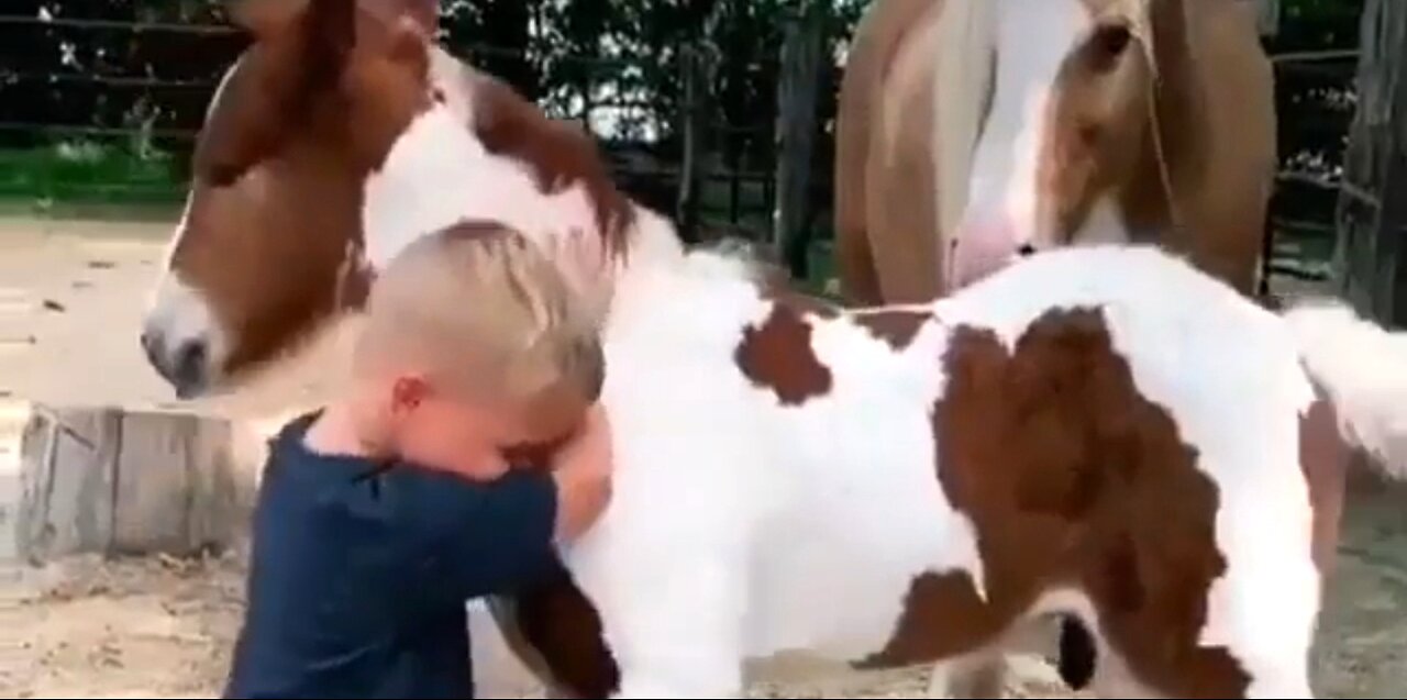 SET APART FOR GOD - DAILY DEVOTIONAL ❤️