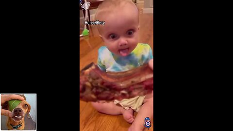 Funny videos compilation 5