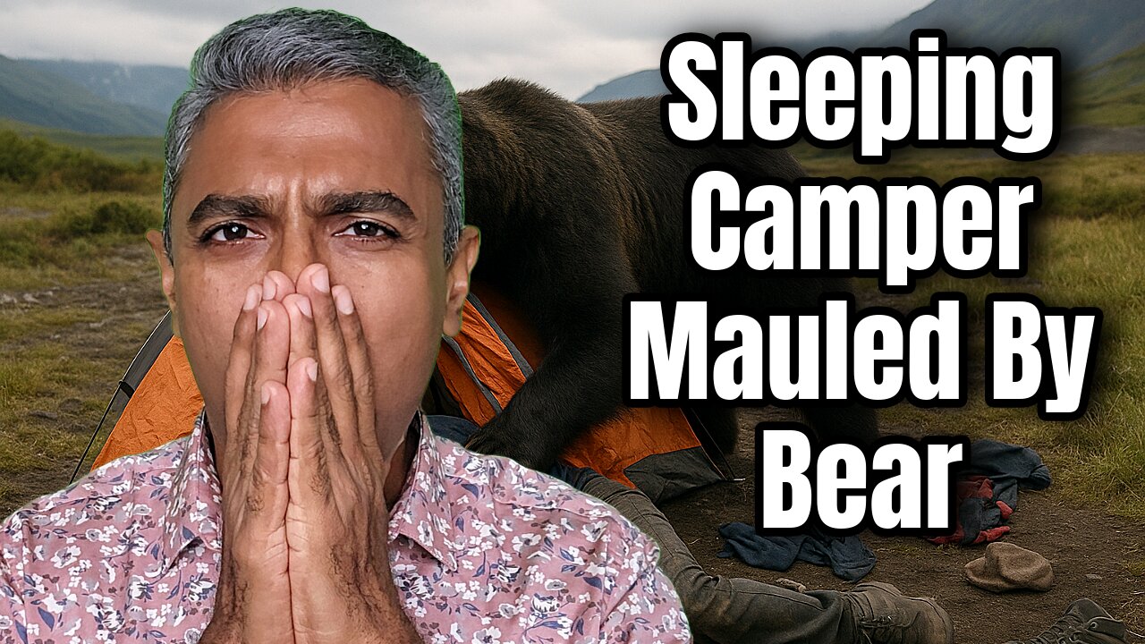 Tourists Mauled by Bears: Russia Tent Attack & Romania Selfie with Cub Turn Deadly