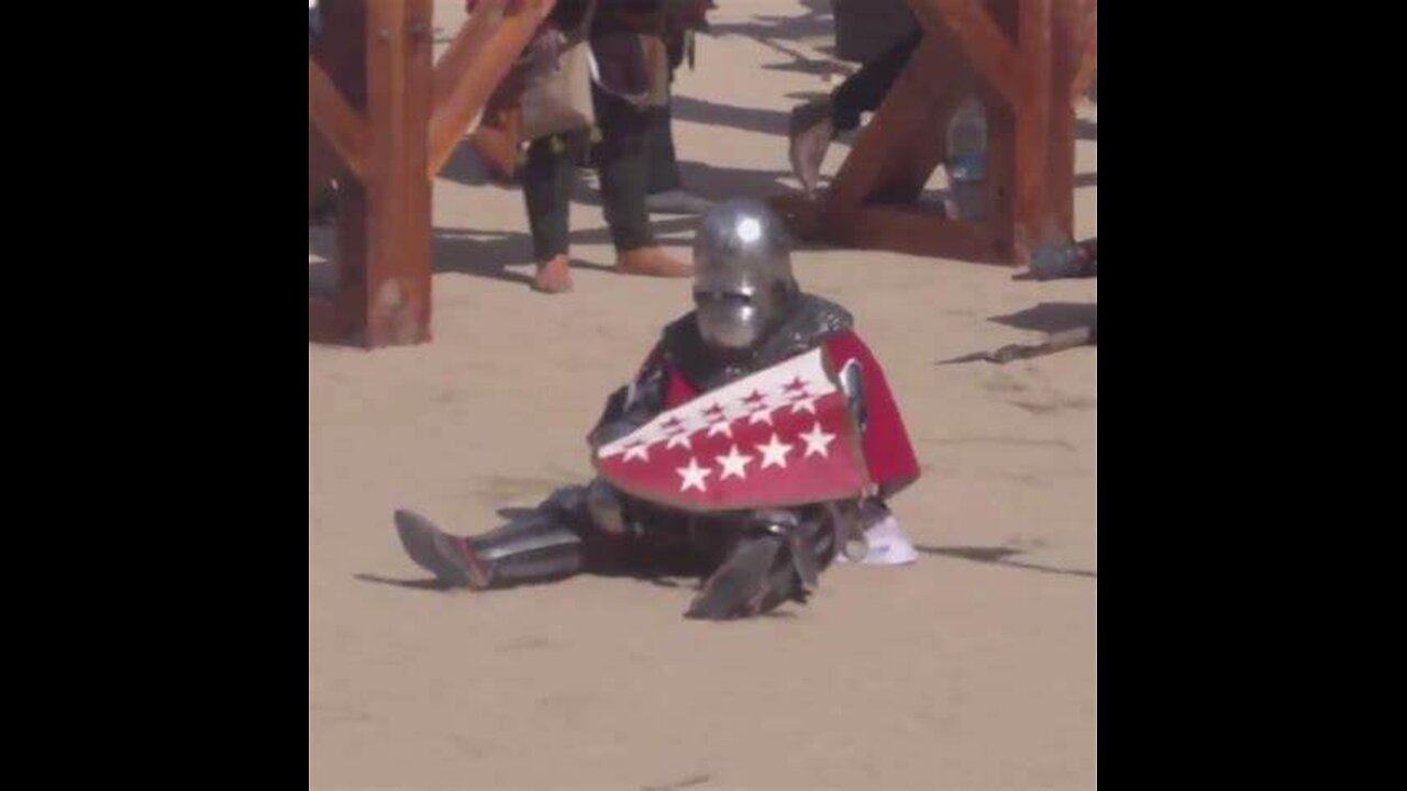 THE ADVENTURES OF SIR BEATSYAWIFE AND FRIENDS