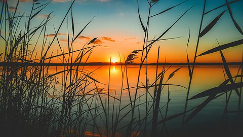 White Noise (Black Screen) | Soft Ambient Sound for Focus and Deep Rest