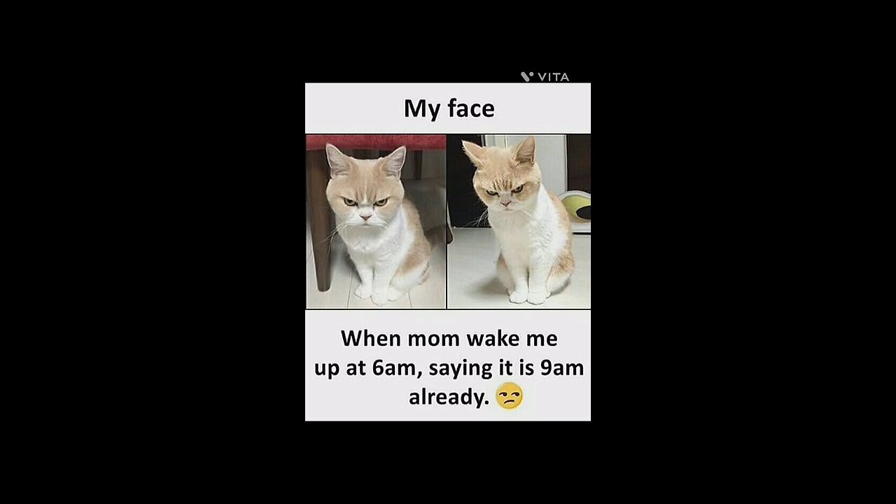How my mom wakes me up:^