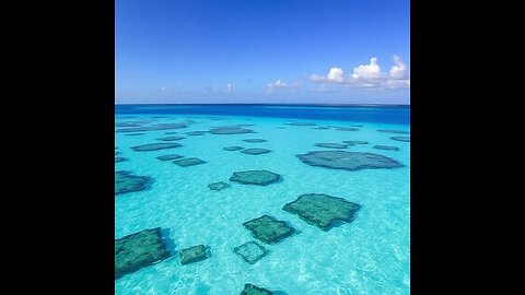 The Sentinels: on demons,protection,dreams etc