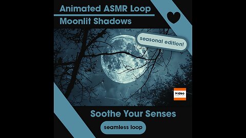 Moonlit Shadows | Escape to a Moonlit Fireside Evening