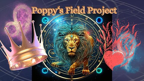 07/30/2025 Poppy's Field Project