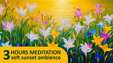 ❤️3 Hours of Peace | 4K Sleep Meditation Background | Study Focus | Beach Ambience ASMR Tingles