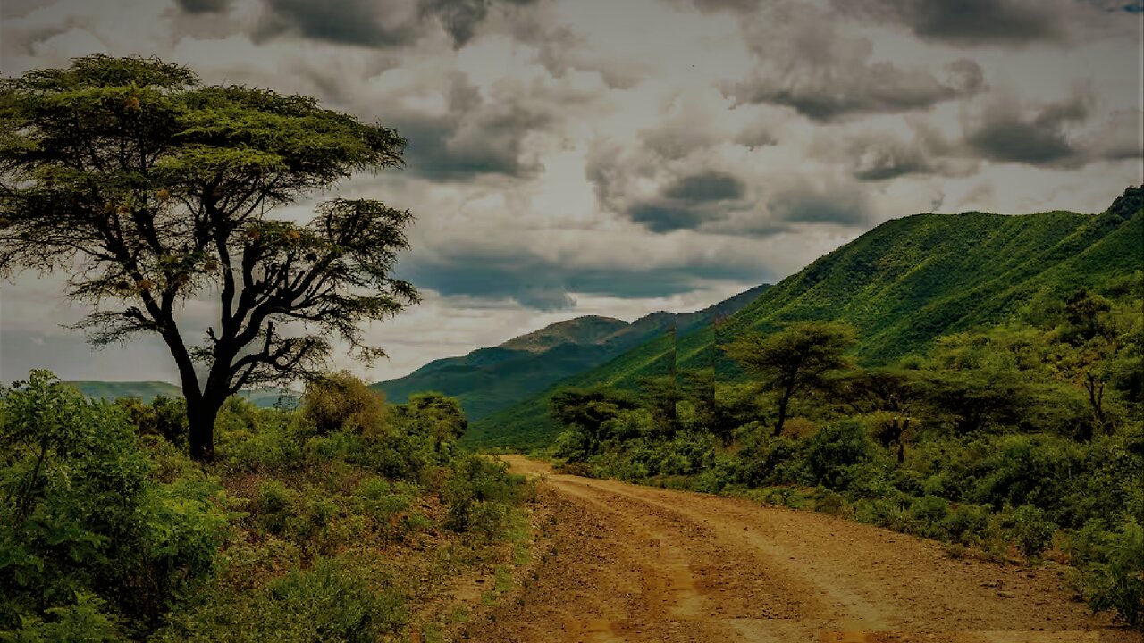 Tea or coffee with sugar, do we really need it, sugar
