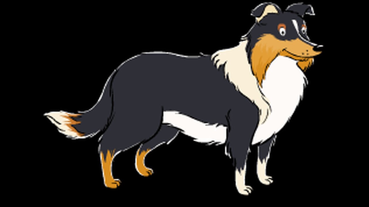 Carolina Lorraine (Rough Collie Form)