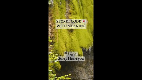 Secret code with meaning ⁰° i ¹⁄₁₆₄ u Sorry I hurt you