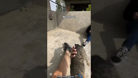 The Funniest 41 Seconds You’ll Watch Today!