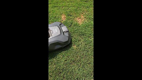 AUTO MOWER VERSES FRISBEE