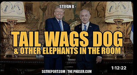 TAIL WAGS DOG & OTHER ELEPHANTS IN THE ROOM -- Stefan B