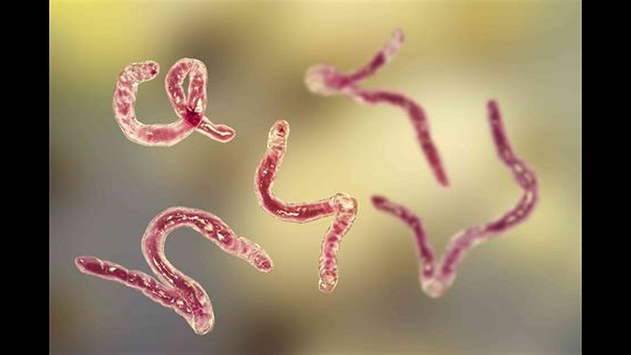 Parasites 101: The Hype, the Facts, and What You Can Do