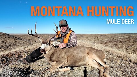 Chasing His Dream Mule Deer Buck in Montana