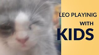 Happy LEO Playing With Kids