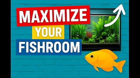 Run your Fishroom Dont let it run you!