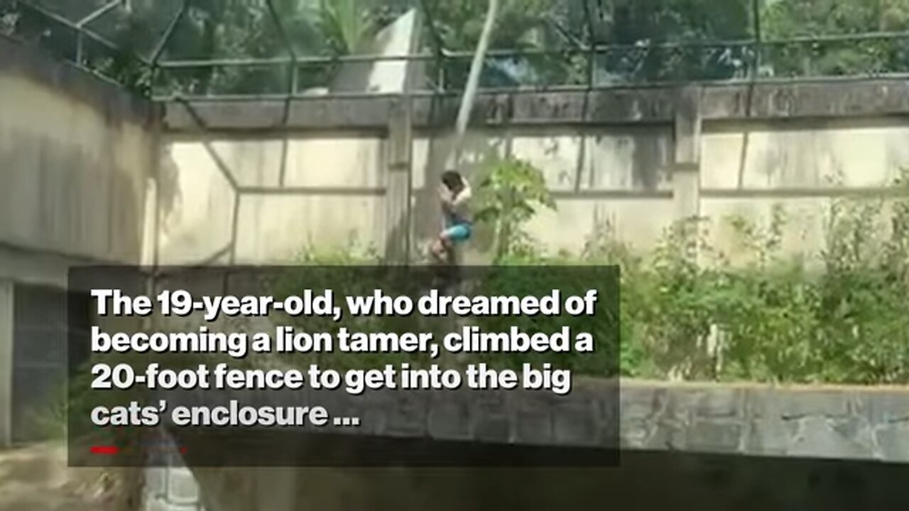 WATCH! Horrific Moment Teen Mauled to Death by Zoo Lion