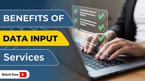 What Are the Key Benefits of Data Input Services?