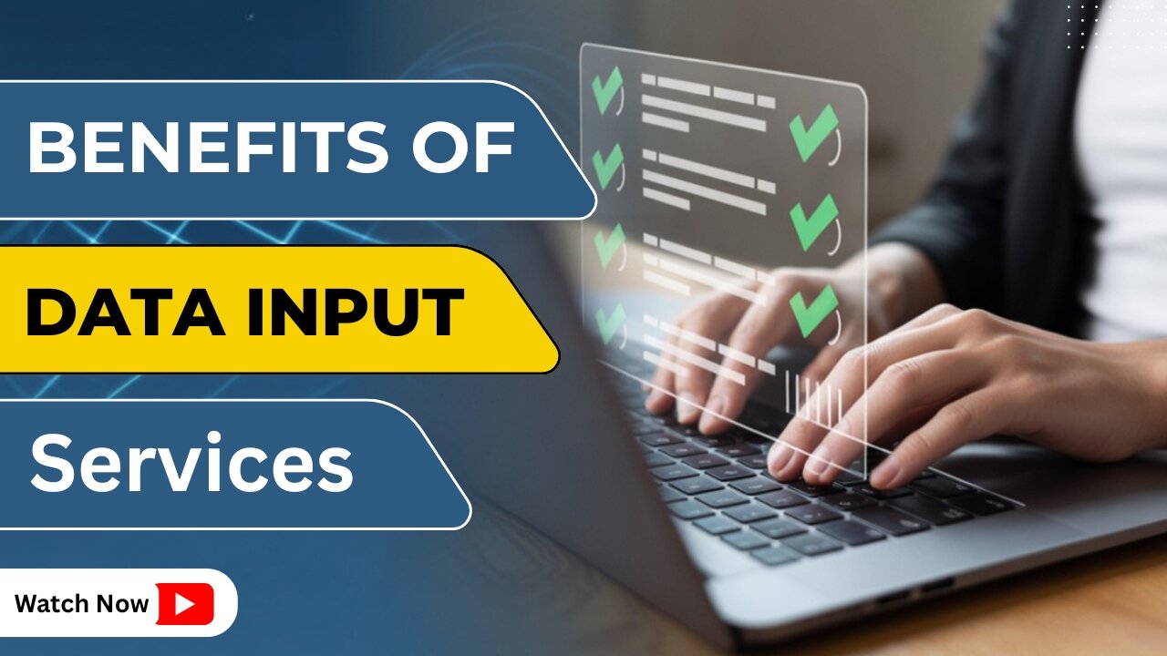 What Are the Key Benefits of Data Input Services?
