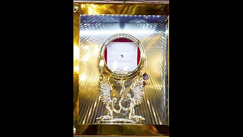 EUCHARISTIC MIRACLES TRANSUBSTANTIATION #catholic #christ #christian #church #eucharist #jesus #trut