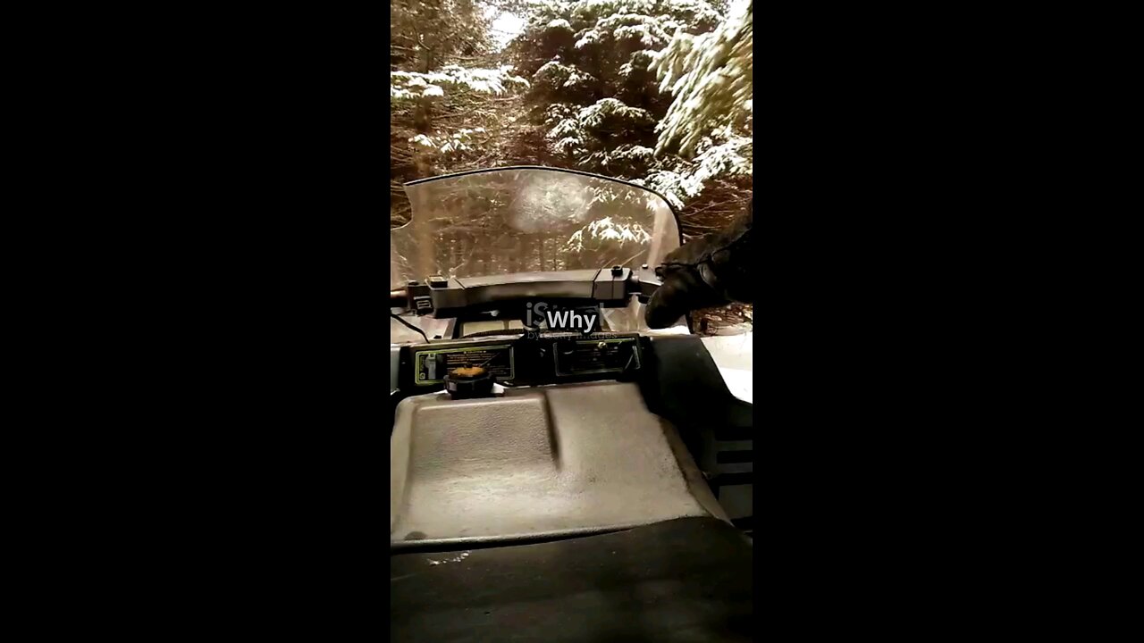 I fought a yeti and won #yeti #snowmobile #snowball #snow