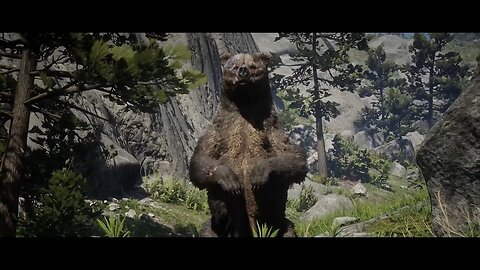 RED DEAD REDEMPTION 2 - LEGENDARY GRIZZLIE BEAR