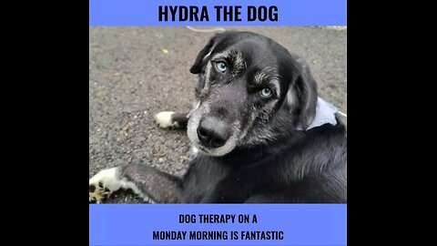 Hydra the Dog: #009