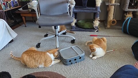 Entertaining the boys