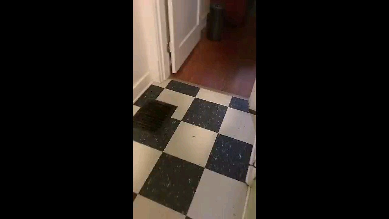 funny voice over 🤣