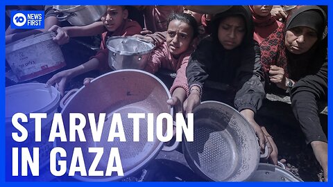 Global Pressure Mounts on Israel as Gaza Faces Starvation Crisis | Urgent UN Warning | 2025 Update