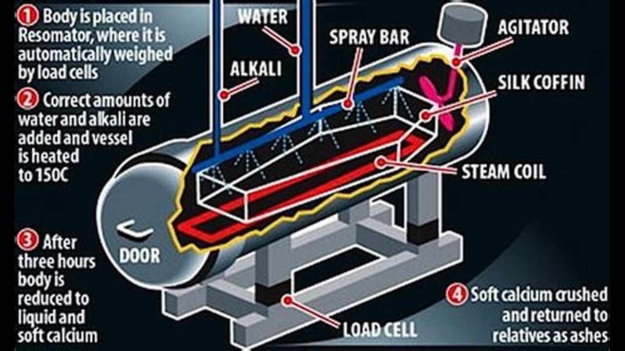 You’re Drinking People: The Alkaline Hydrolysis Rabbit Hole They Don’t Want You Falling Into