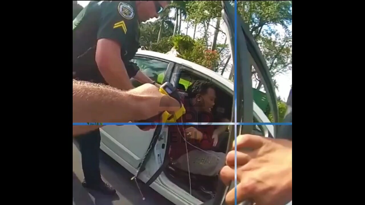 Traffic Stop Takes Shocking Turn—Ends in Chaos 💥🚔 #TrafficStopGoneWrong #japd