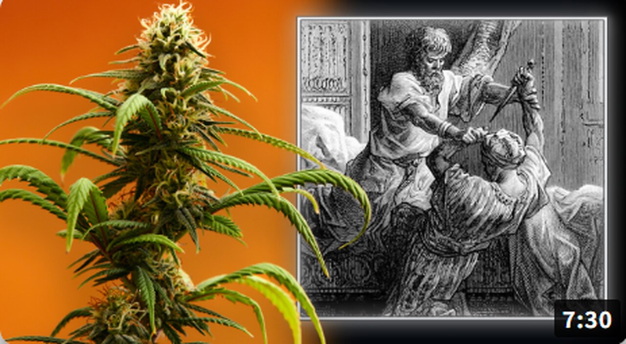 EXCLUSIVE: Michael Savage Exposes The Secret History Of Marijuana & The Hashish Assassins