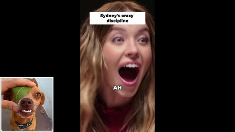 Funny videos compilation 25