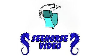 2025 Region 11 Arabian & Half-Arabian Championship Show - Saturday