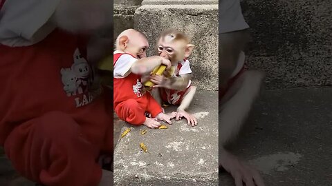 couple sweet love