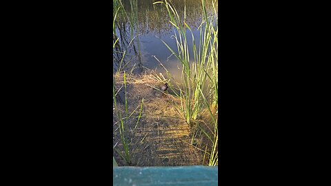 Happy birthday 🎂 America ♥️🤍💙🇺🇸