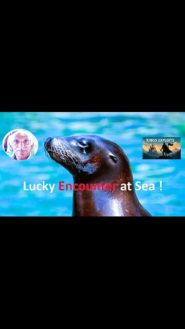 Lucky Encounter at Sea !