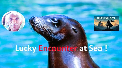 Lucky Encounter at Sea !