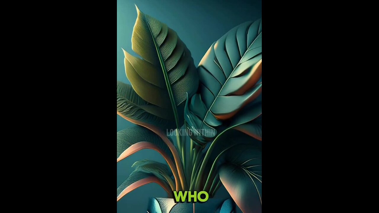 Wow!!!