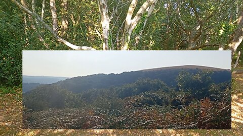 02, trek , hike, horse , crap, view, humidity