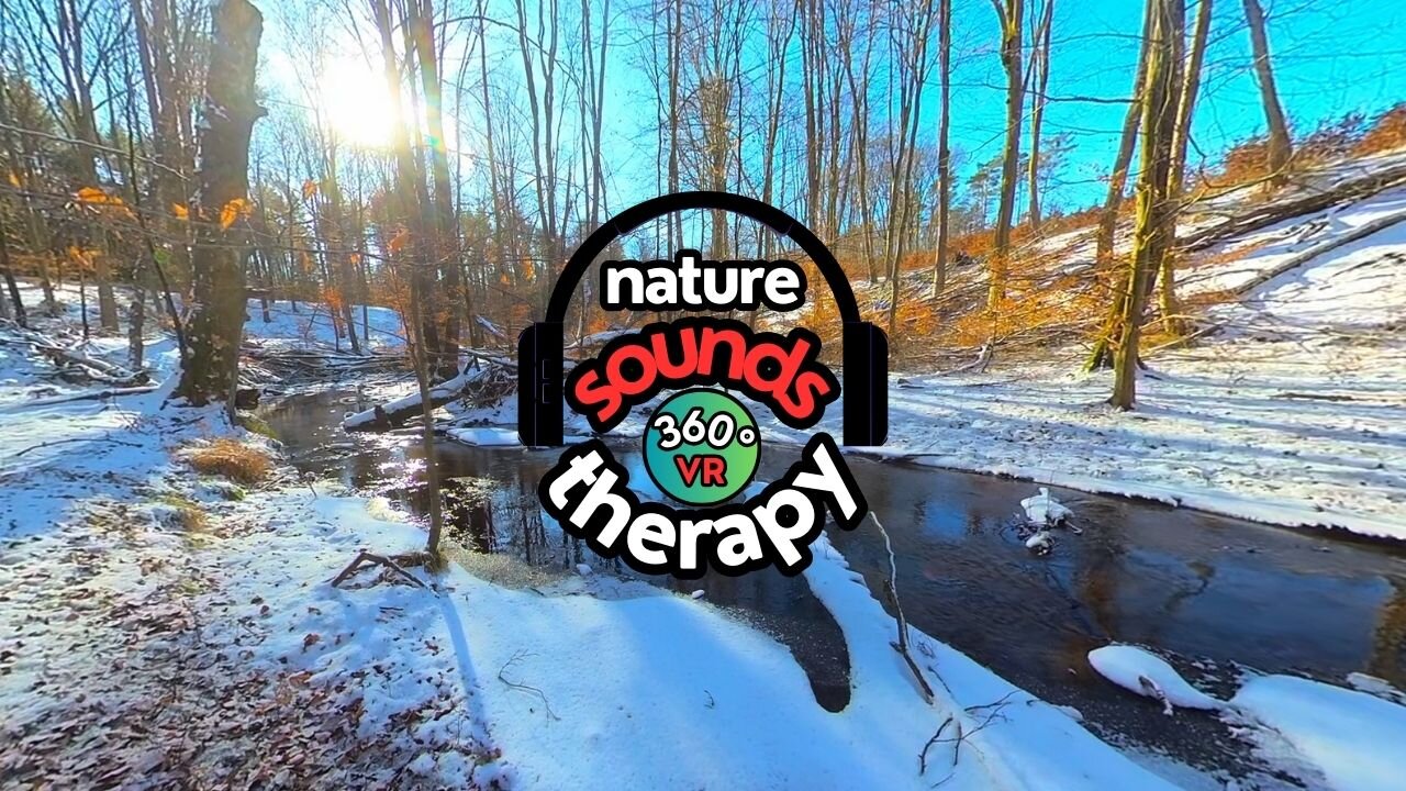 4K 360 VR Winter Magic Peaceful Sound of a Forest Stream