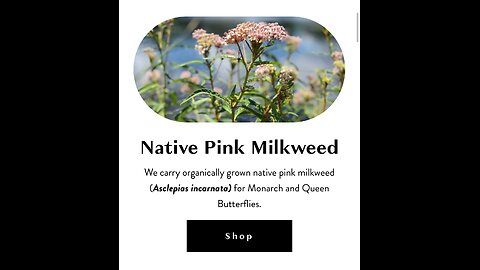 Featuring the Florida Native Plants Nursery in Sarasota, FL [Native Milkweed Source]