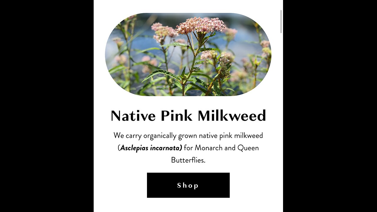 Featuring the Florida Native Plants Nursery in Sarasota, FL [Native Milkweed Source]