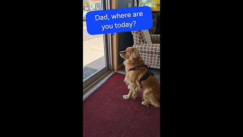 Where is my Dad?
